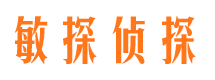 盐津市侦探公司